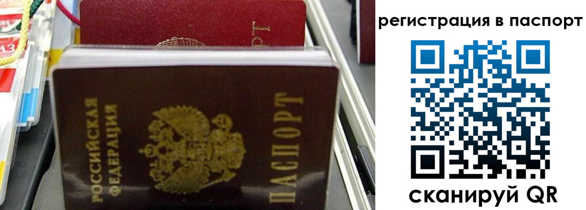 прописка для школы в Петров Вале